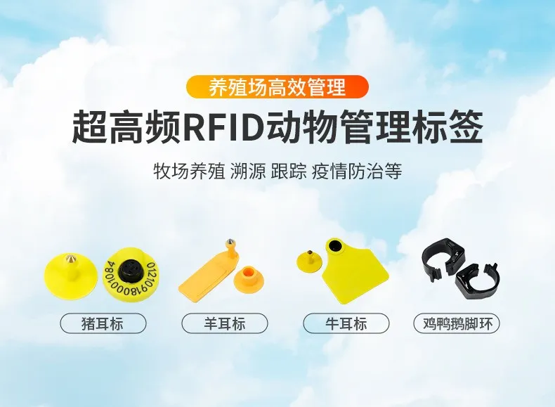 3878706a-55d6-42ae-8577-fcbfc8e14b67