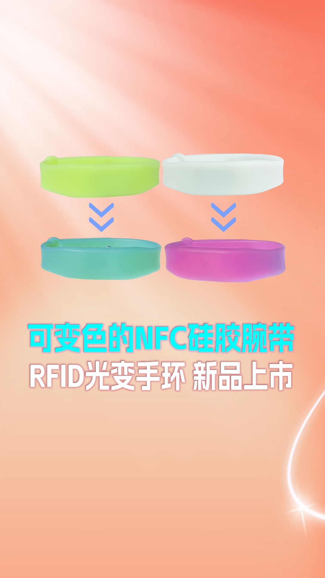 微信圖片_20250522141451