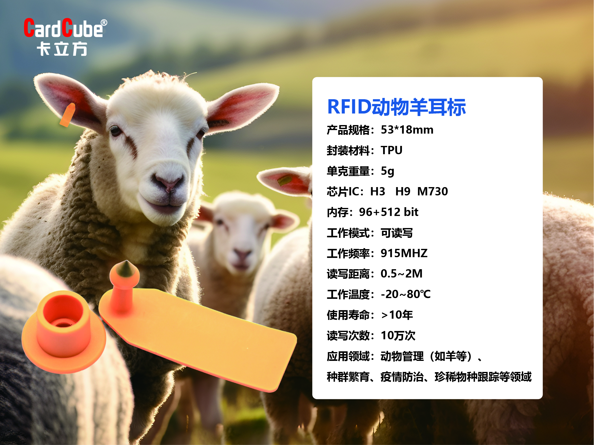 fe5136e6037c29