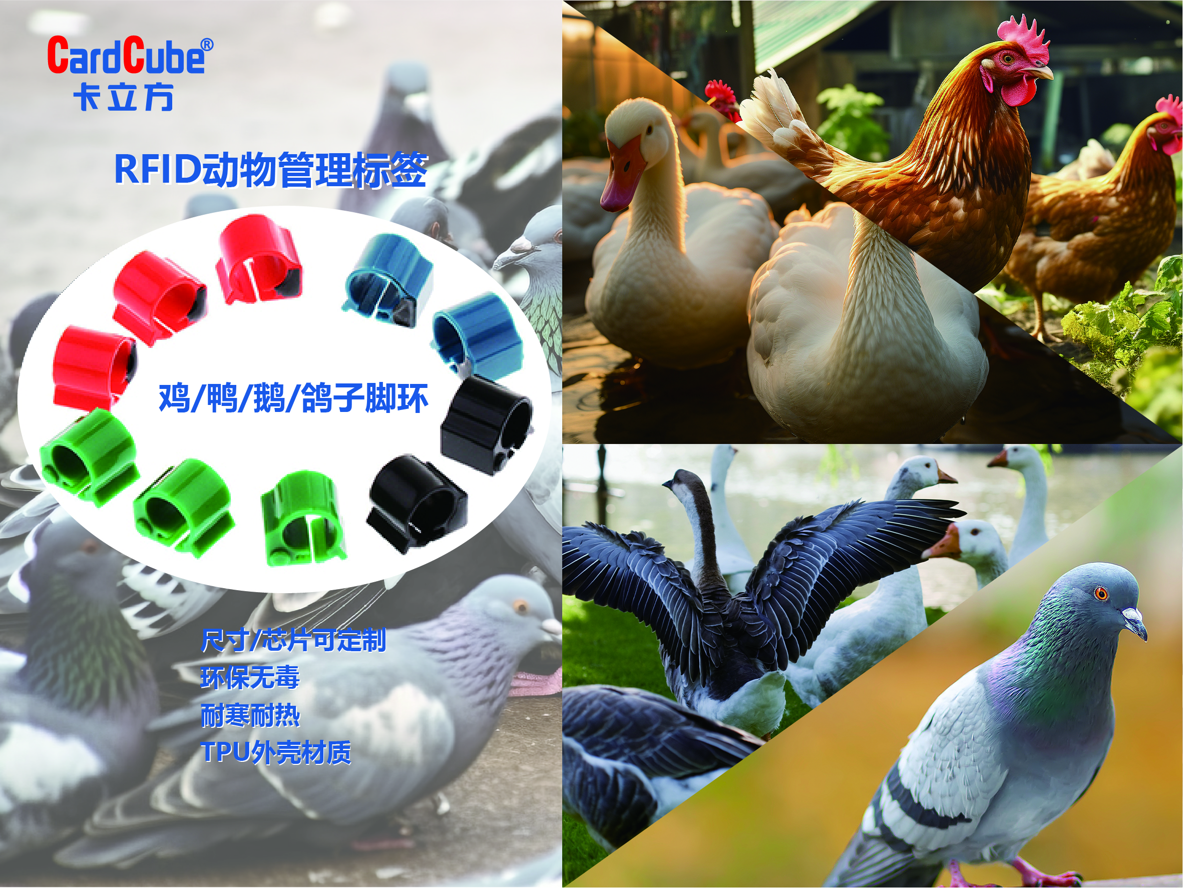 f1c5deac96b7644
